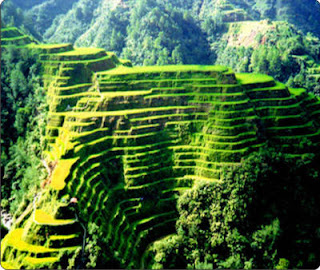 Banaue Rice Terraces Philippines