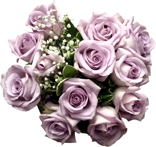 ForgetMeNot: purple roses Bouquets