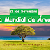 21 de Setembro Dia Internacional da Árvore - Entenda porque este dia foi criado