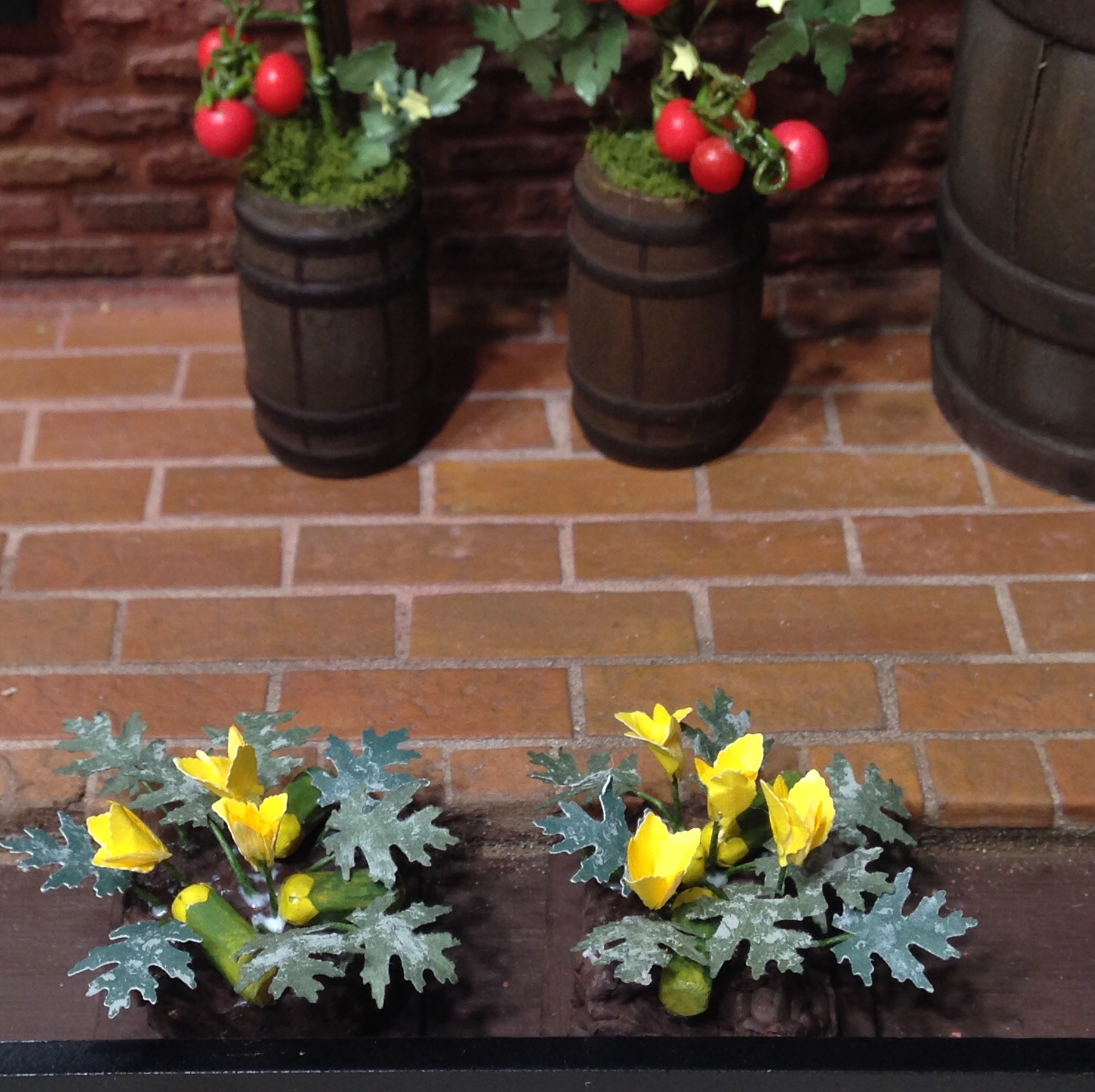 My Miniature Madness How To Grow A Miniature Garden In Two Days...