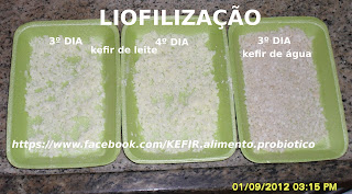 Kefir Alimento Probiótico