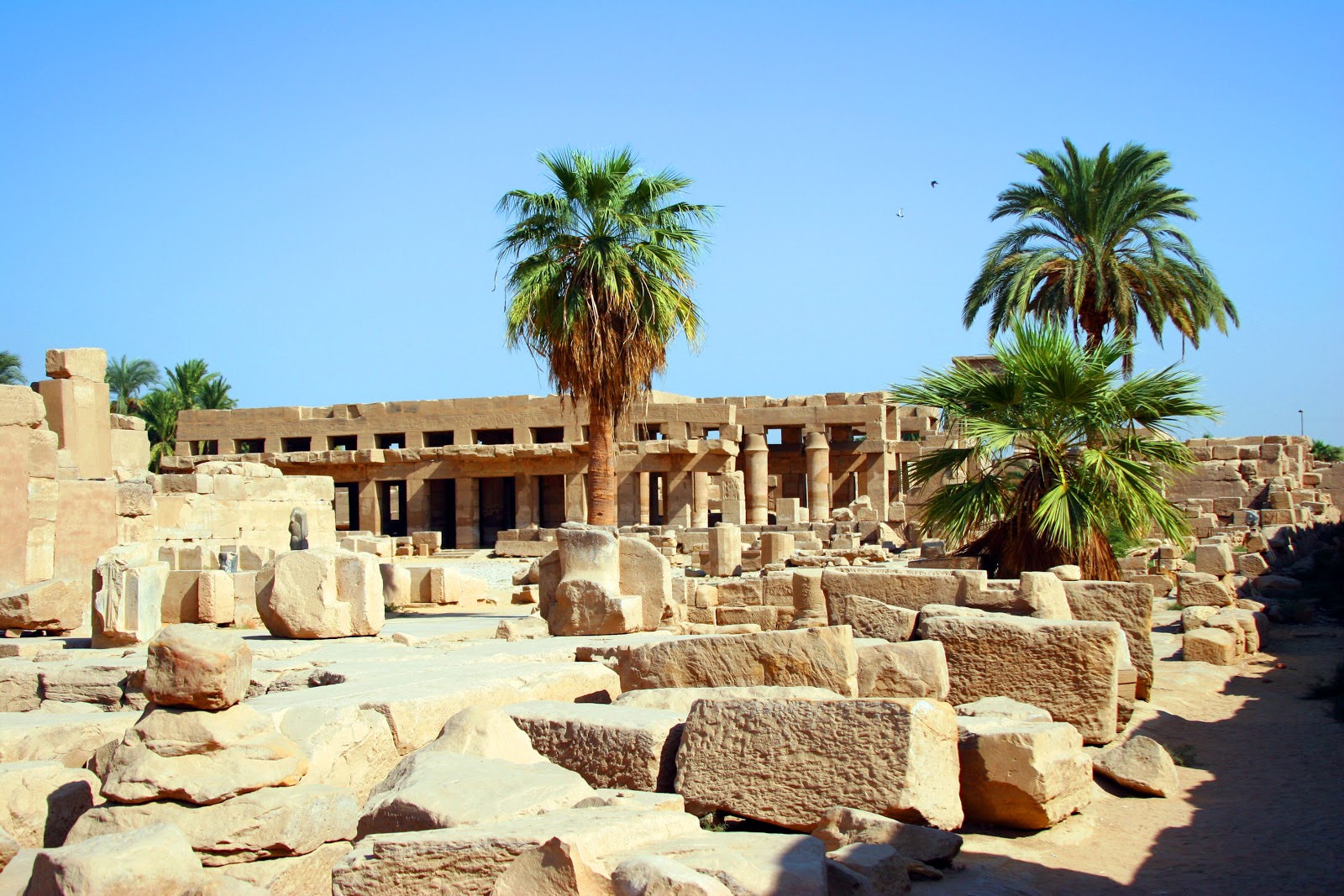 Клуб амон ра саратов