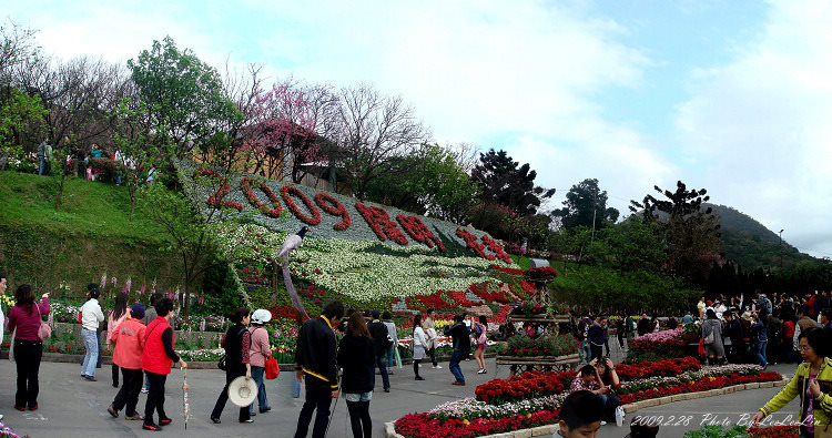 台北陽明山國家公園花季