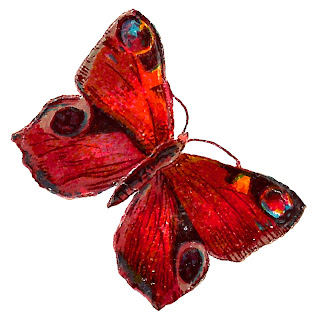 digital butterfly clip art butterfly insect image digital clipart vintage illustration