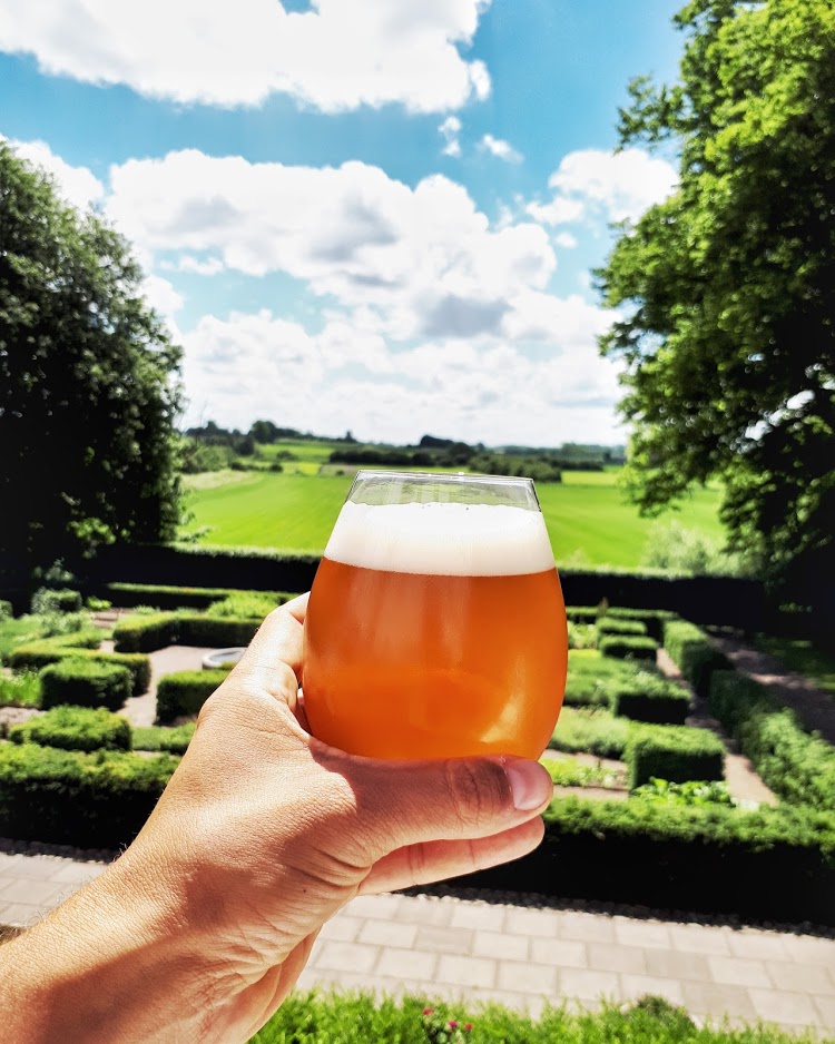 Beers around the world! The Social Traveler