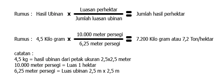 Cara Menghitung Populasi Tanaman Per Hektar Edukasi Lif Co Id