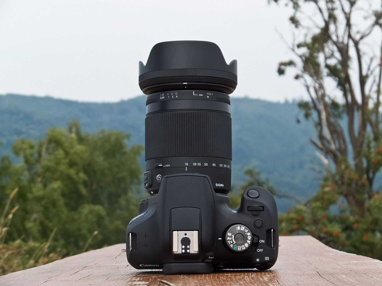 fotonieobiektywny TEST Canon EOS 2000D. Postęp niejedno ma imię.