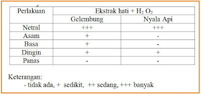 UN TAHUN INI UNTUK LATIHAN YA | Beriman,Berilmu,Berakal