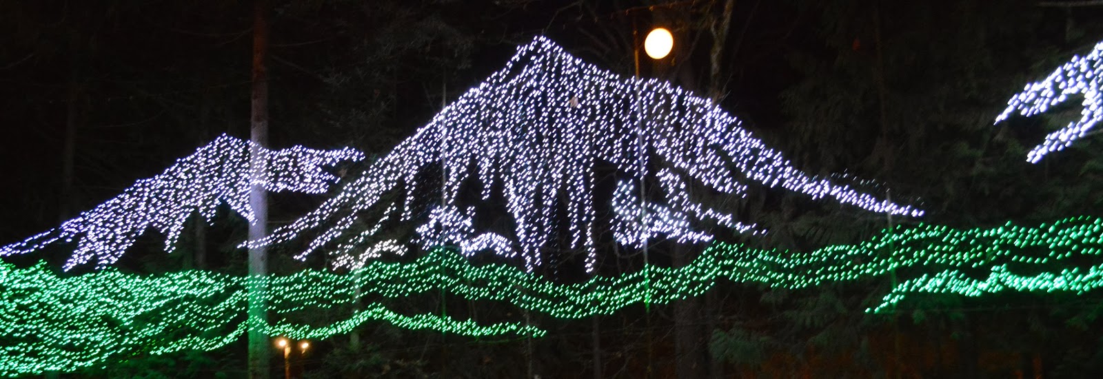 Fresh Vintage Home The Lights of Christmas on Camano Island