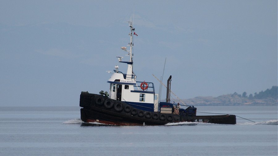 Tugboats, Tugboats, Tugboats Ocean Monarch