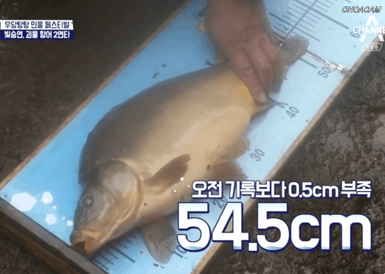 도시어부 한승연 | 인스티즈