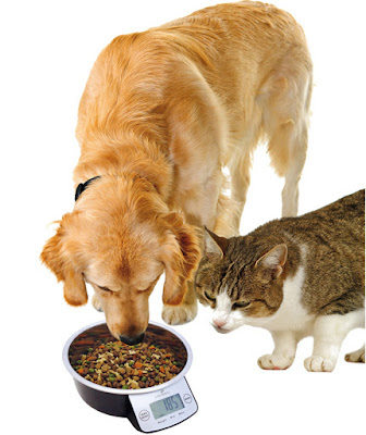 Dog and cat using the Eyenimal Intelligent Pet Bowl XL