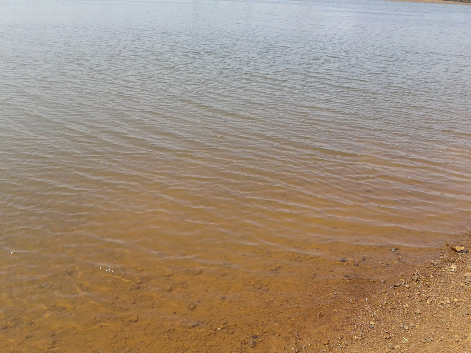 Железногорское водохранилище отдых домики цены