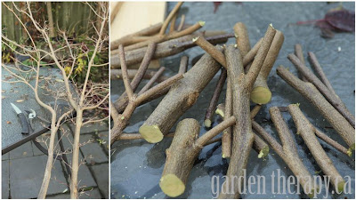 Cómo hacer un perchero con ramas en Recicla Inventa