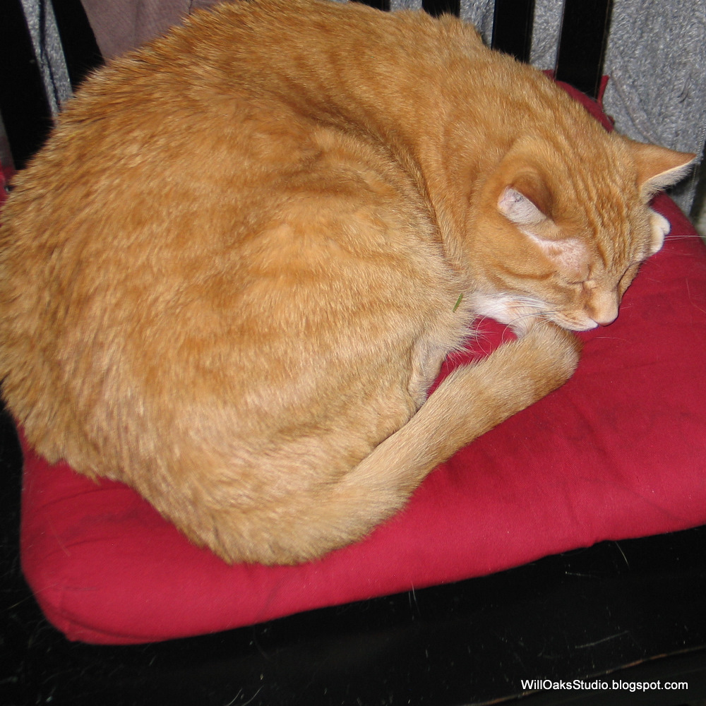 The Red Cat Society Big Red Cats