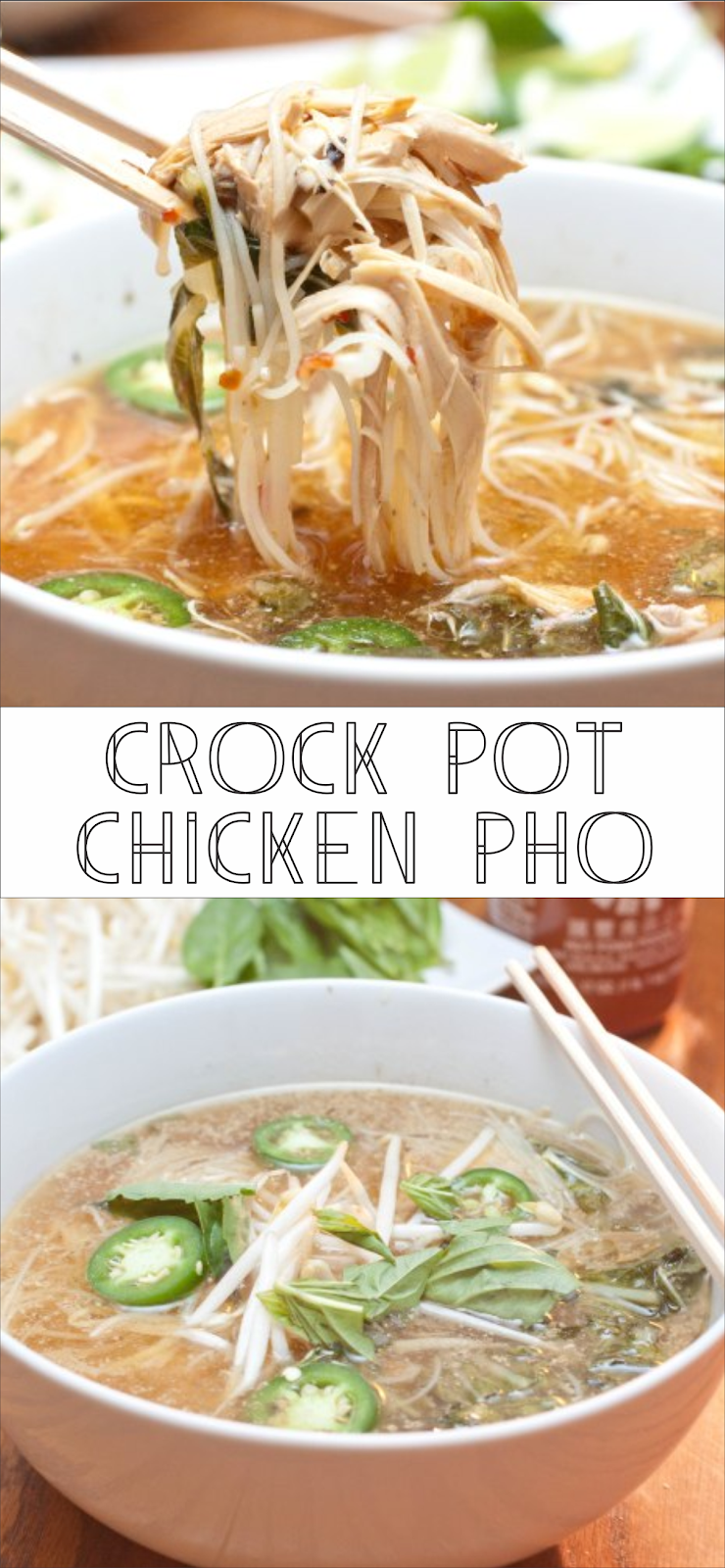 Crock Pot Chicken Pho | Floats CO