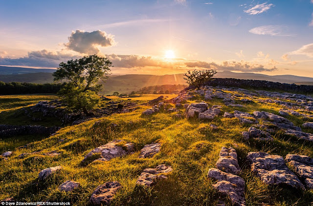 32EC5AB500000578-3528038-image-a-38_1460