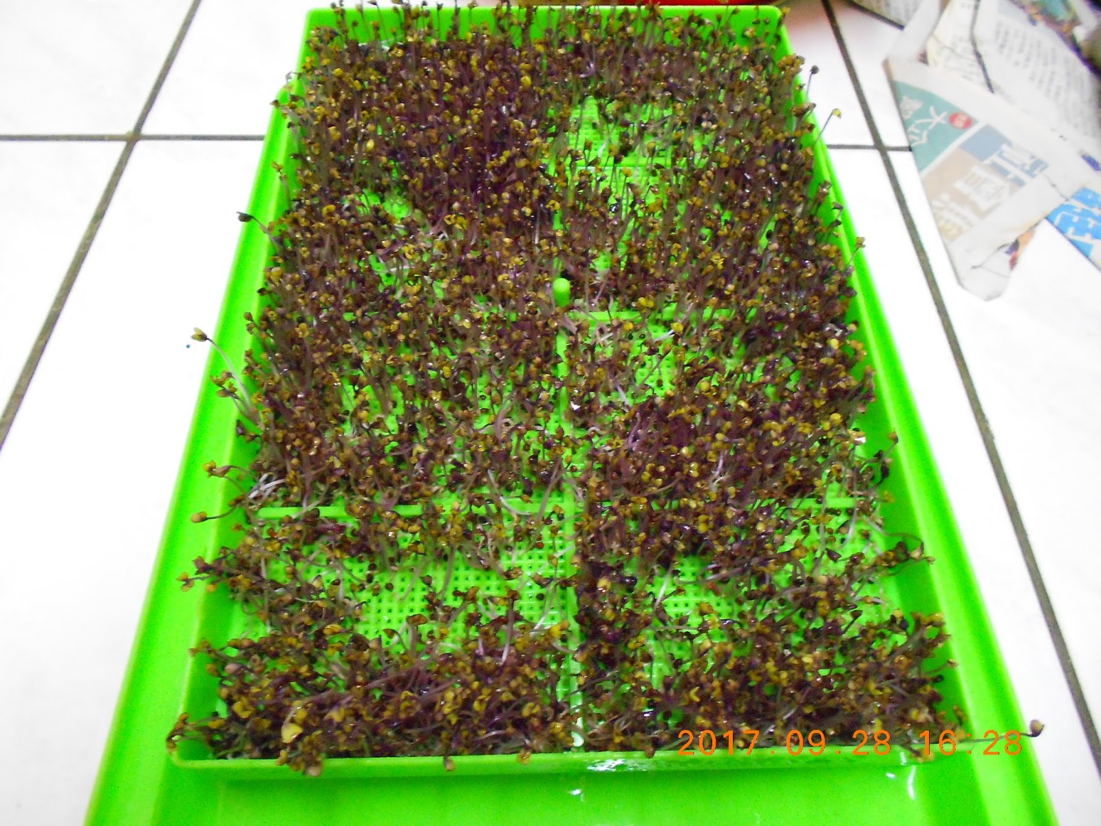 �����R,�����R��,���Ⱚ�R��,������ŵ�,�����R��i,�����R����i,�����ŵ��ܦ�,�����ŵ浵���ߵ�,�����R��