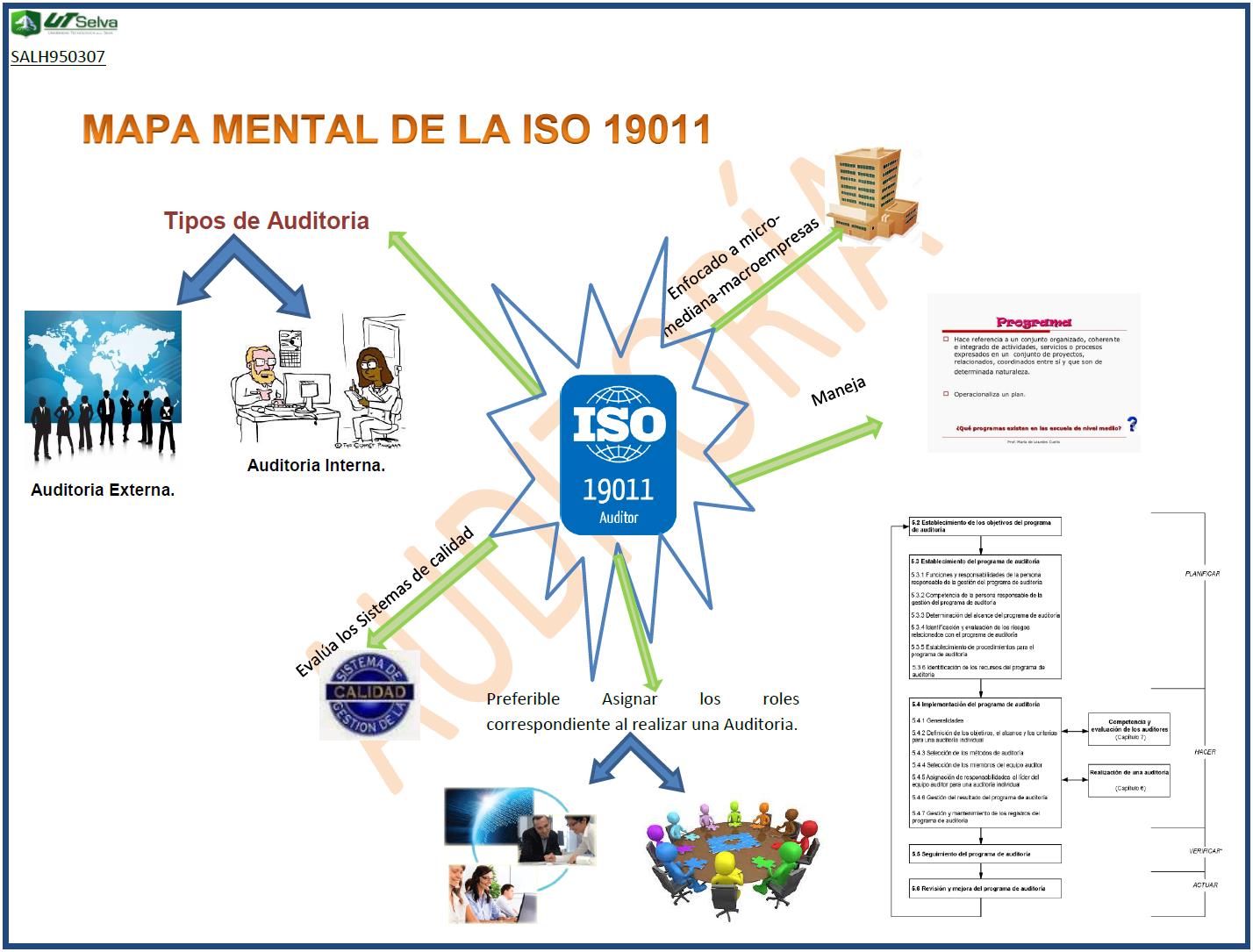Norma Internacional ISO 19011