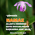 Namaz Bakara Suresi 45 ayet