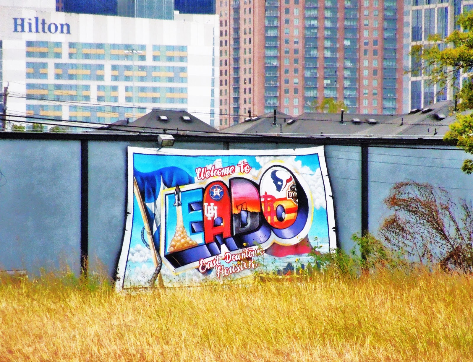 Houston in Pics to EADO Mural with Downtown Houston Skyline