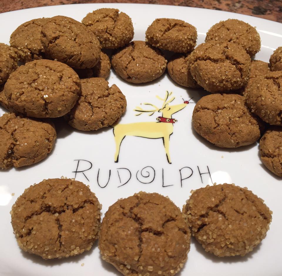 Paleo Rebel Banana Flour GingerMolasses Cookies