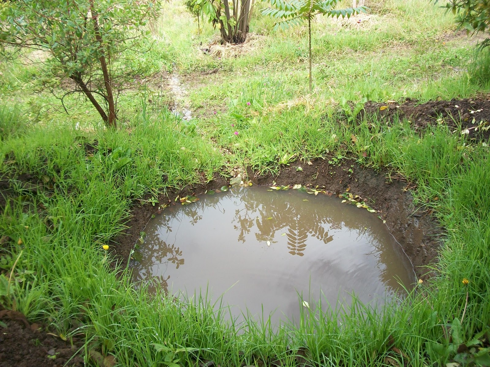 Backtoeden: Galería: Agua en los pozos