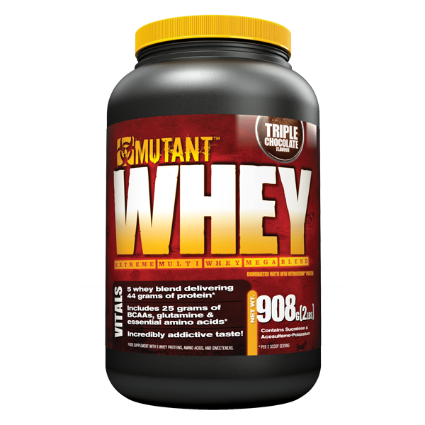 ON Gold Standard Whey Protein Isolate InDepth Review of the Best Protein Powder in the Philippines