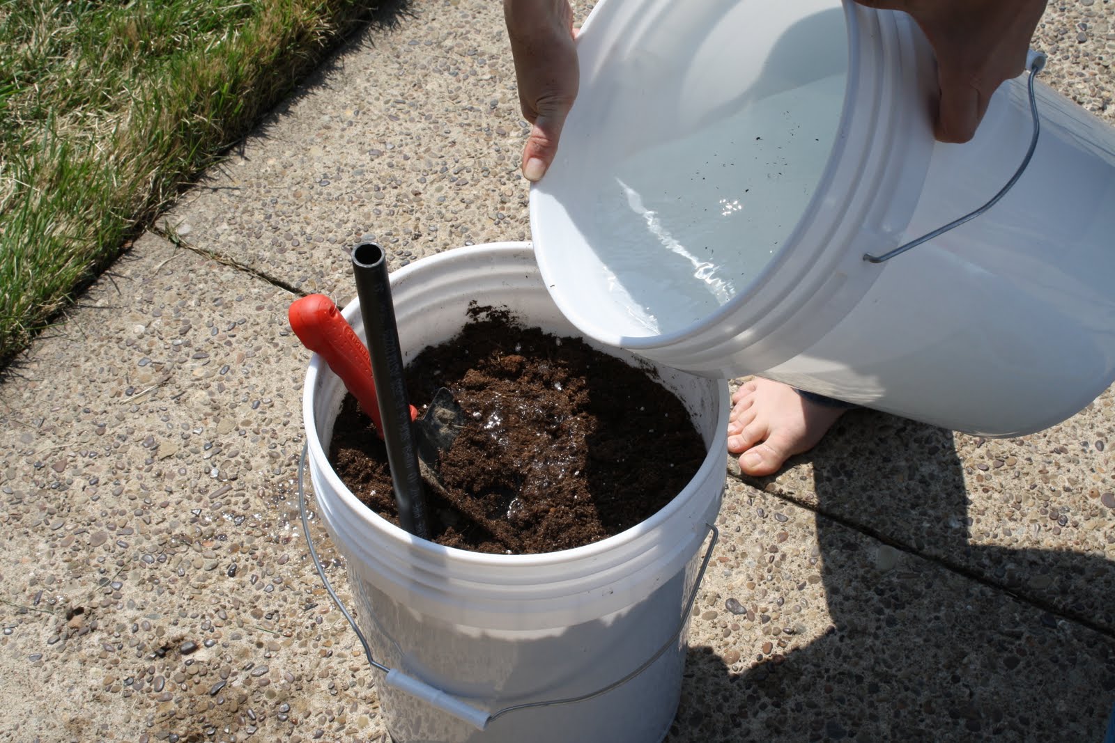 PittsburghGardener Selfwatering veggie pot experiment