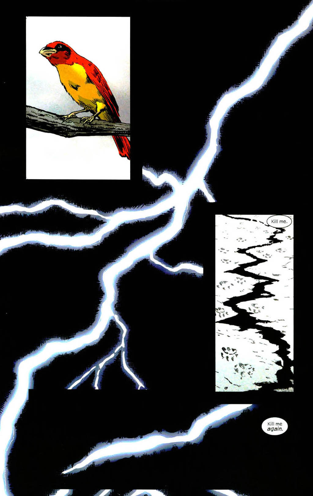 Wolverine (2003) Issue #12 #14 - English 3