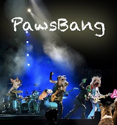 Pwoud Membew of Paws  Bang