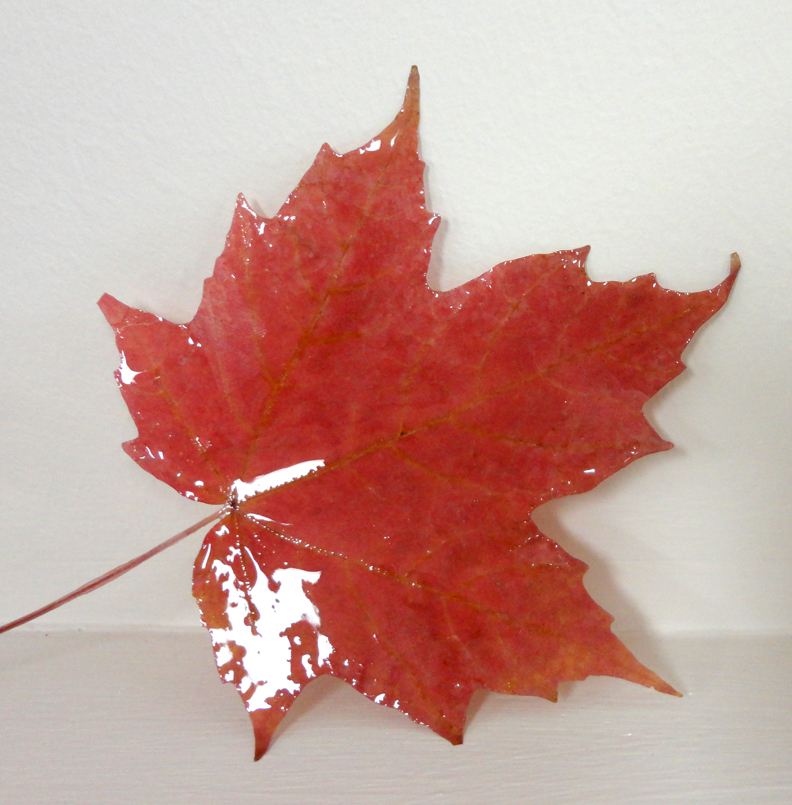 Resin Crafts Shells, Leaves and Resin