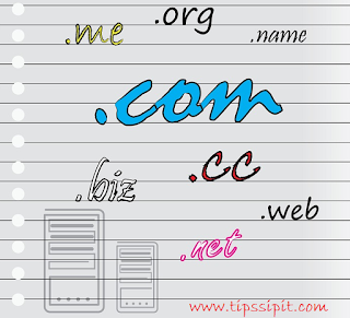 Pengertian serta perbedaan Domain dan Hosting pada sebuah website