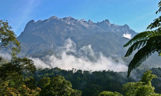 domba2domba "SetinggiTingginya Gunung, Lebih Tinggi domba2domba "SetinggiTingginya Gunung, Lebih Tinggi