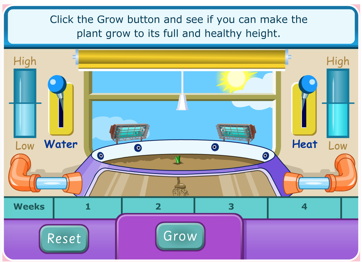 Ms. Tom's Little Explorers Edublog How Do Plants Grow?