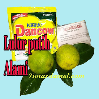 Lulur Alami Untuk Memutihkan Kulit Tubuh Tunasdamel Com
