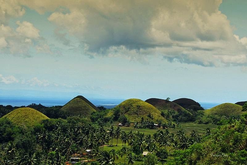 Chocolate Hills are featured in the provincial flag and seal to symbolize the abundance of natural attractions in the province.