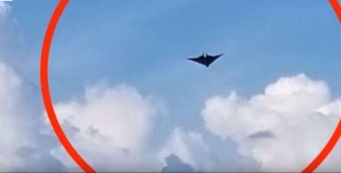 OVNI, avião ou pterodáctilo? Caso ganha repercussão entre ufólogos