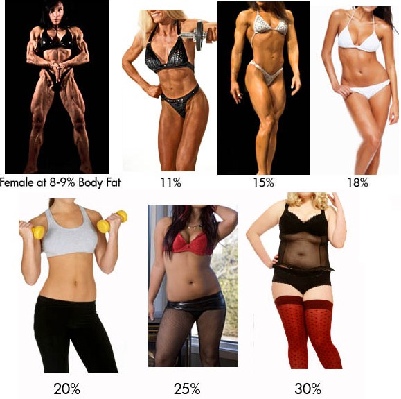 women-bodyfat-chart-visual.jpeg