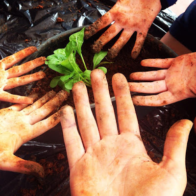 Autossustentável: Reconectta Autossustentável: Reconectta