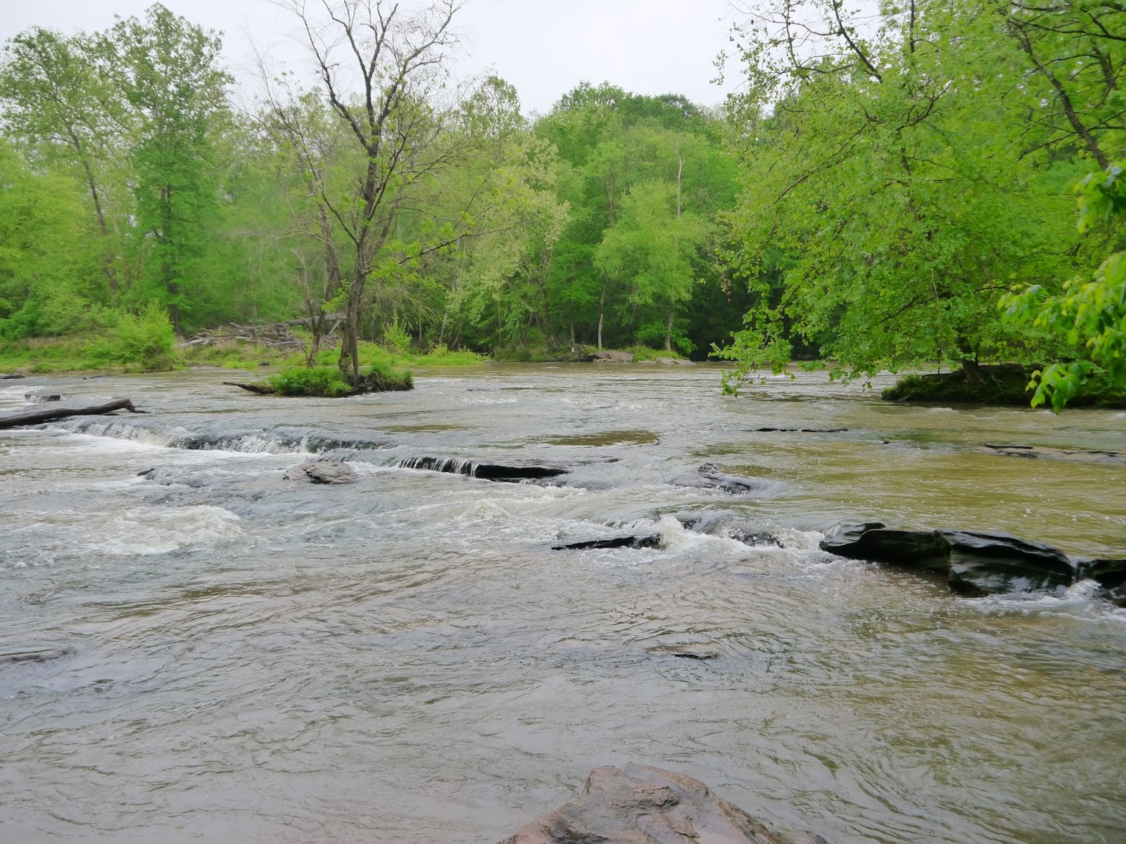 American Travel Journal Enoree River Shoals Musgrove Mill State