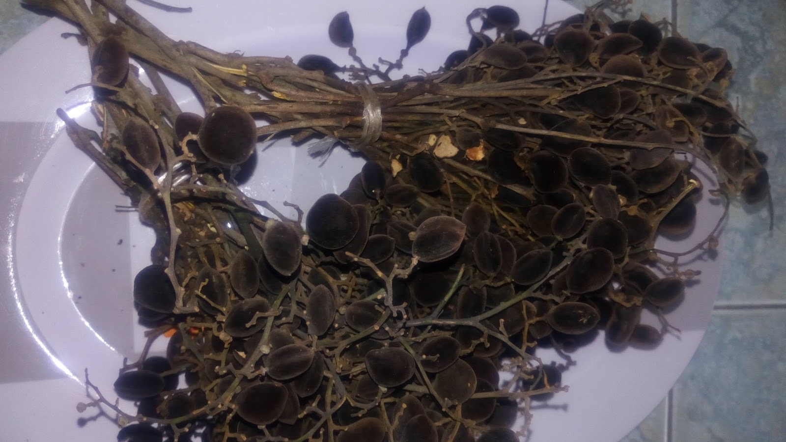 to your health blog BLACK VELVET TAMARIND, ICHEKU, LICKIE