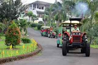 Agrowisata Bhakti Alam, Ngembal, Pasuruan : Tempat Rekreasi, Outbound & Edukasi Serta Hunting Foto Kereta wisata di Agrowisata Bhakti Alam, Ngembal, Pasuruan