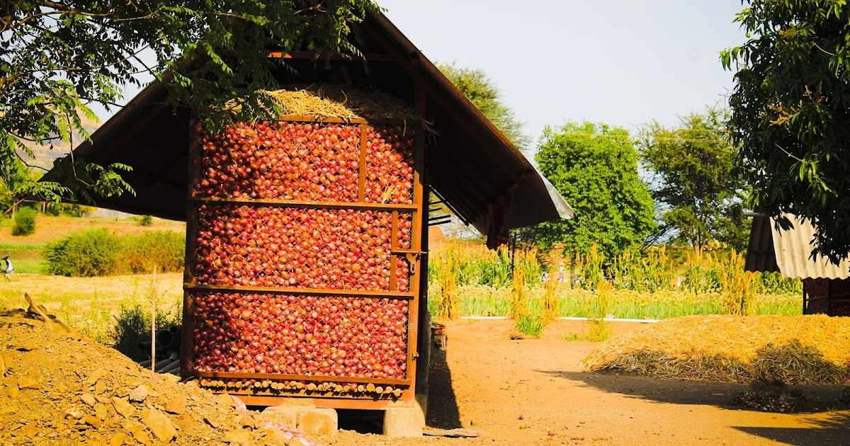 TRAVELLING ACROSS INDIA A NEVERENDING JOURNEY. NASHIK THE ONION