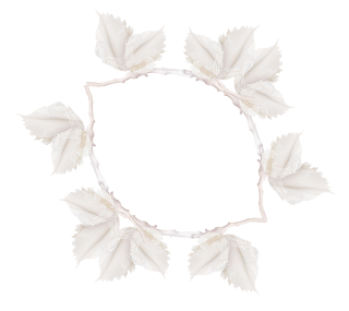 Frames and Borders of the Baby Girl Bear Clipart. Frames and Borders of the Baby Girl Bear Clipart.