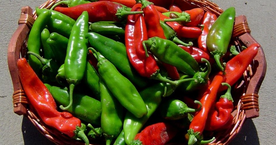 The reading blog of Park University student, Erin Harrell Green Chile by Jimmy Santiago Baca