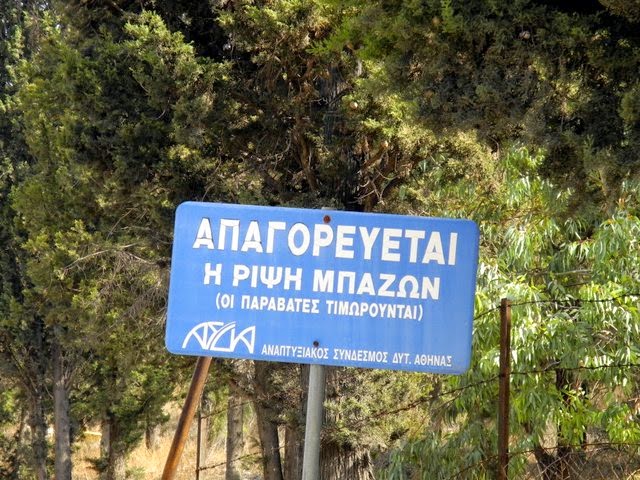DSCN4169.jpg