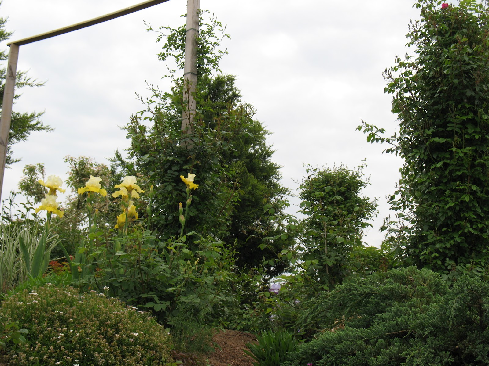 Ma Terre De Bruyere Plantations Du Massif Ouest 1ere Partie