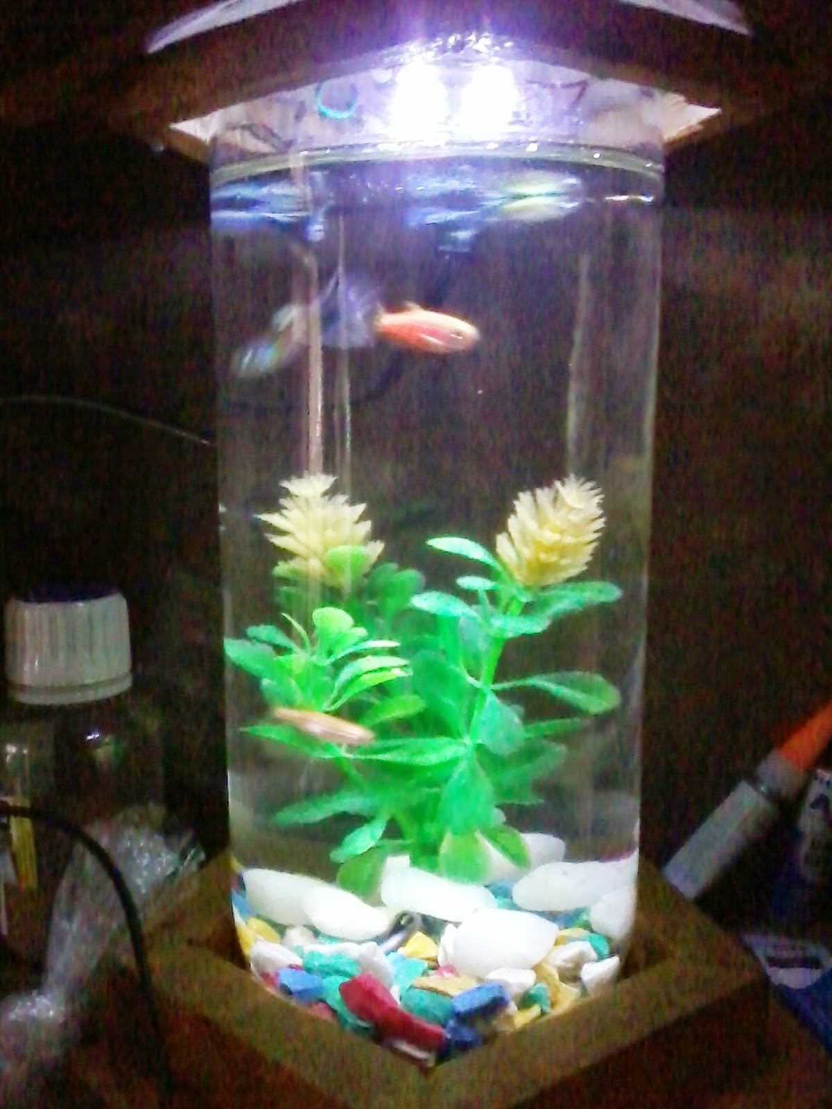 Hiasan Aquarium Dari Barang Bekas