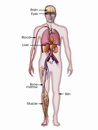 %25E0%25A4%25AD%25E0%25A4%25BF%25E0%25A4%25A8%25E0%25A5%258D%25E0%25A4%25A8%2B%25E0%25A4%25AA%25E0%25A5%258D%25E0%25A4%25B0%25E0%25A4%2595%25E0%25A4%25BE%25E0%25A4%25B0%2B%25E0%25A4%2595%25E0%25A5%2587%2B%25E0%25A4%25B0%25E0%25A5%258B%25E0%25A4%2597%2B%25E0%25A4%258F%25E0%25A4%25B5%25E0%25A4%2582%2B%25E0%25A4%2589%25E0%25A4%25A8%25E0%25A4%2595%25E0%25A5%2587%2B%25E0%25A4%25B2%25E0%25A4%2595%25E0%25A5%258D%25E0%25A4%25B7%25E0%25A4%25A3 - भिन्न प्रकार के रोग एवं उनके लक्षण | Different types of diseases and their symptoms